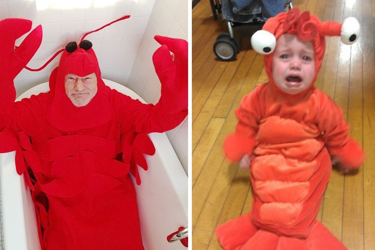 Donald Trump Rescues Lobster-Men From Barack Obama's Trade War With China