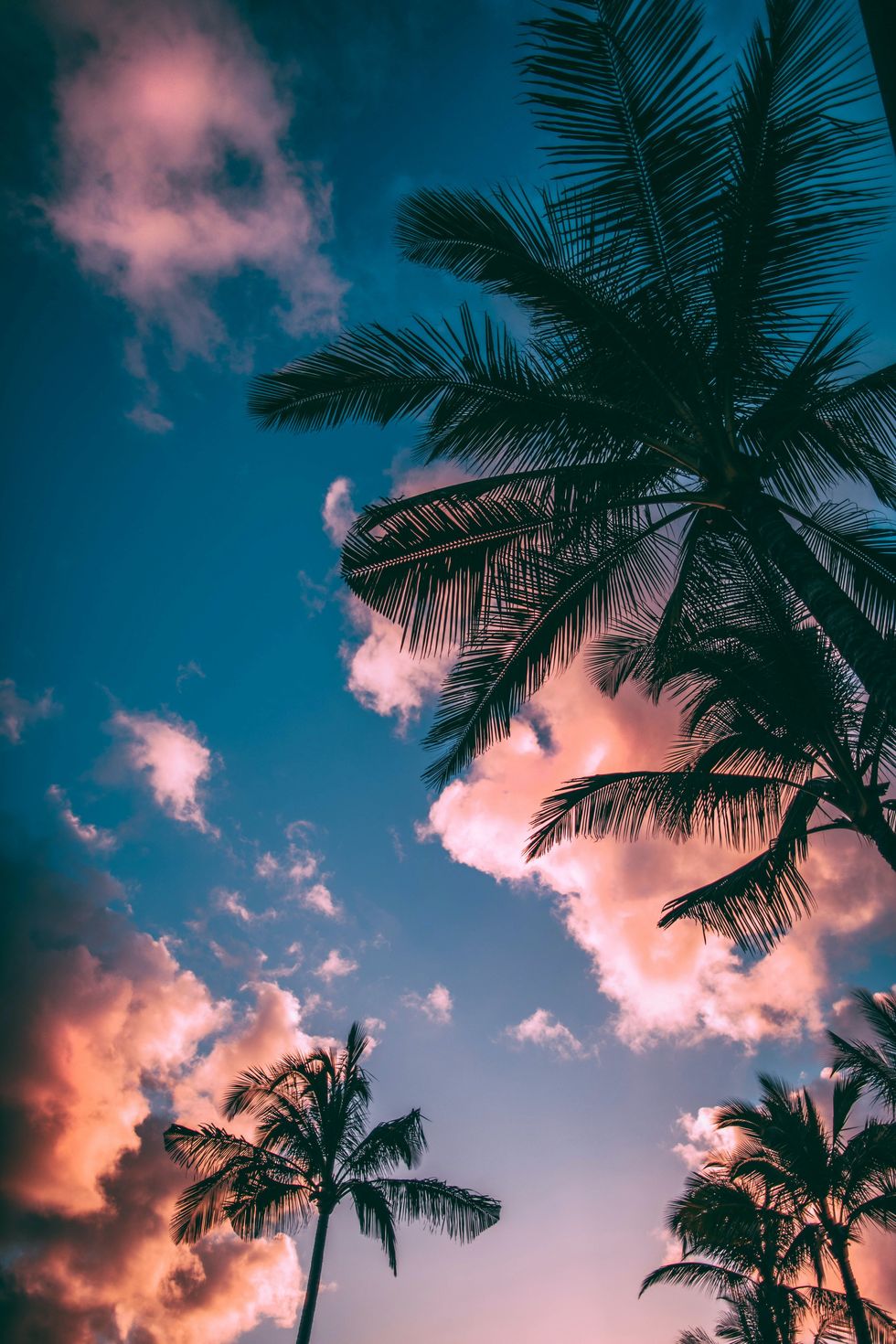 The Ultimate Anti-Country Summer 2020 Playlist