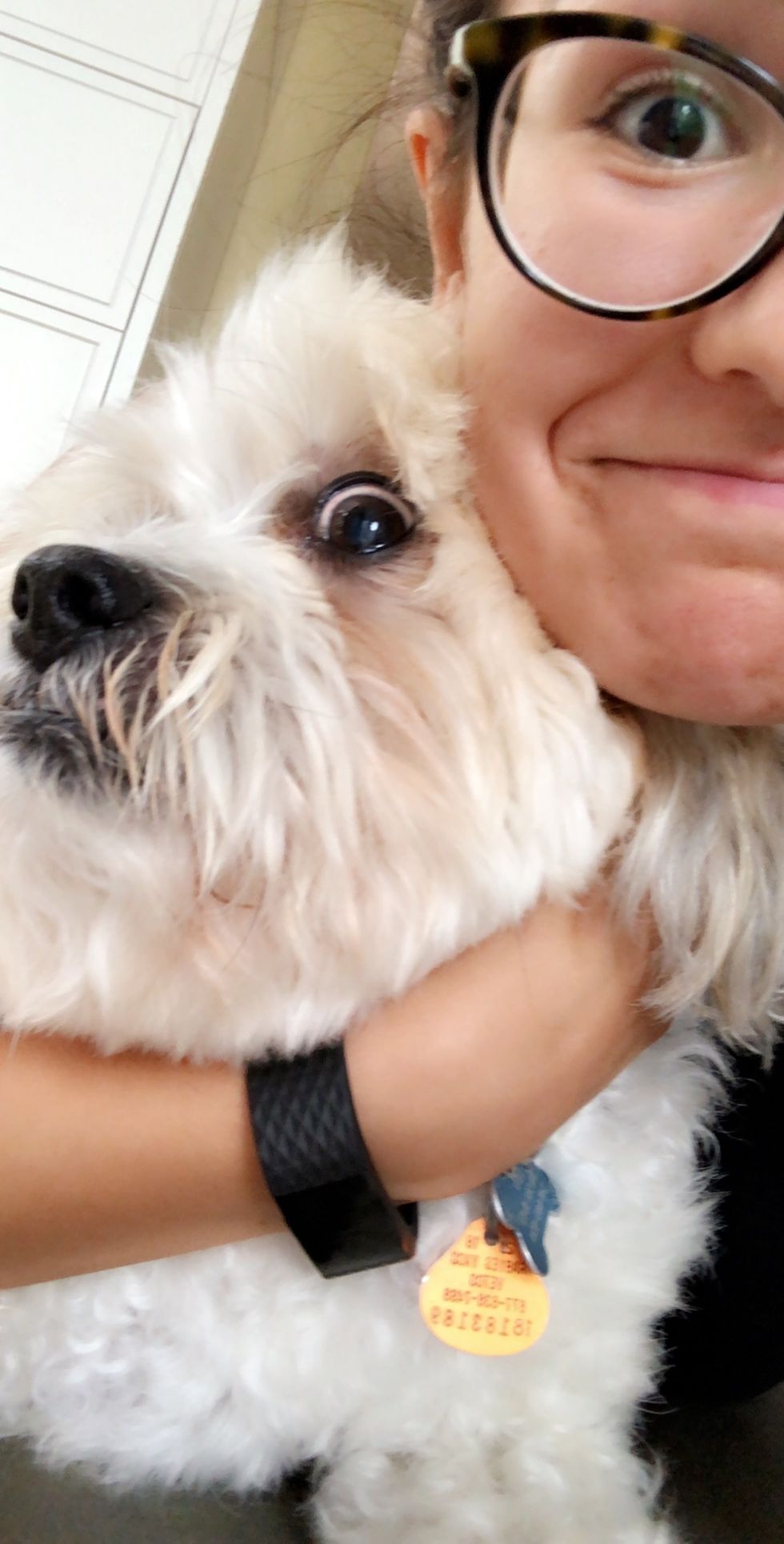 Why Getting A Dog Is So Good For Your Mental Health