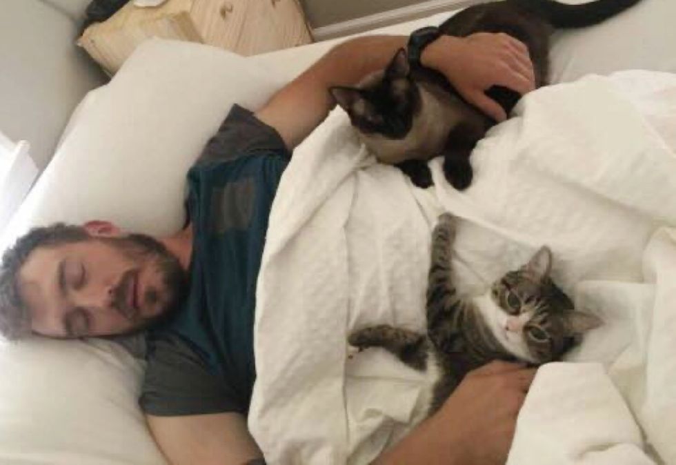 real men love cats, bedtime, cuddle