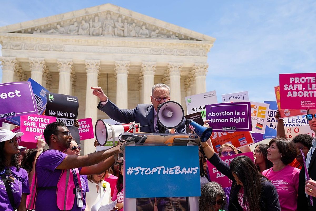 'Dear Sh*t-Fer-Brains': Supreme Court Justices' Sad-Mad Abortion Dissents!