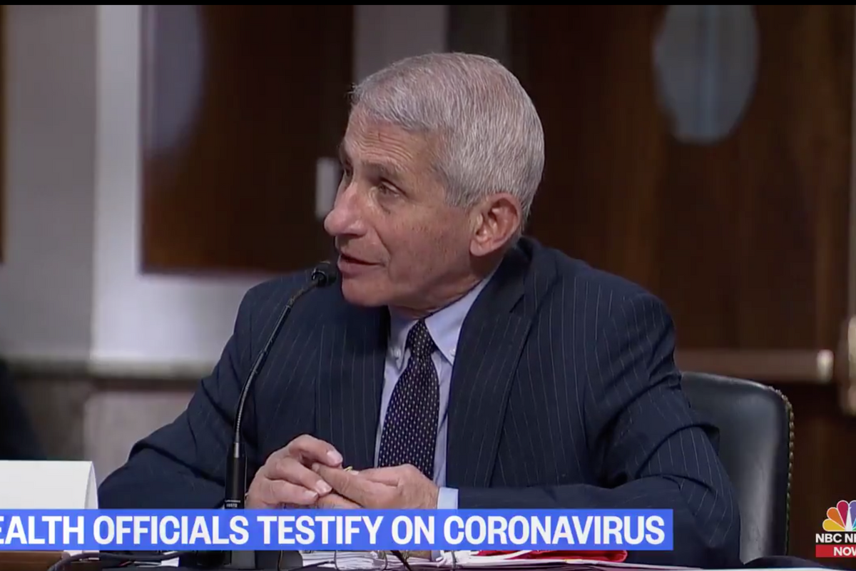 Shorter Dr. Fauci Senate COVID-19 Testimony: YIKES!