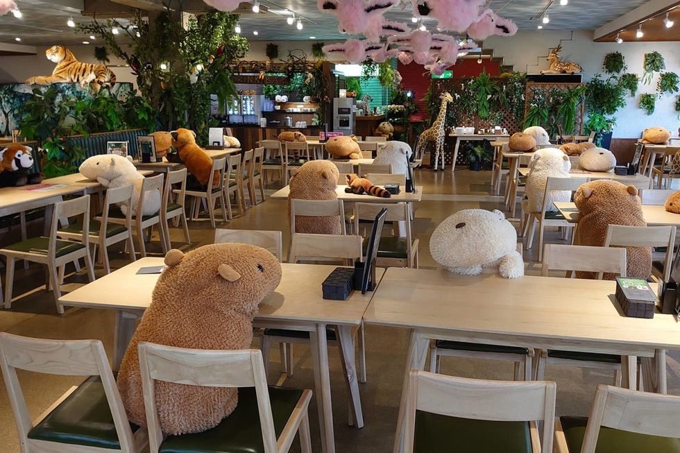 stuffed animals in shizuoka, Japan social distancing