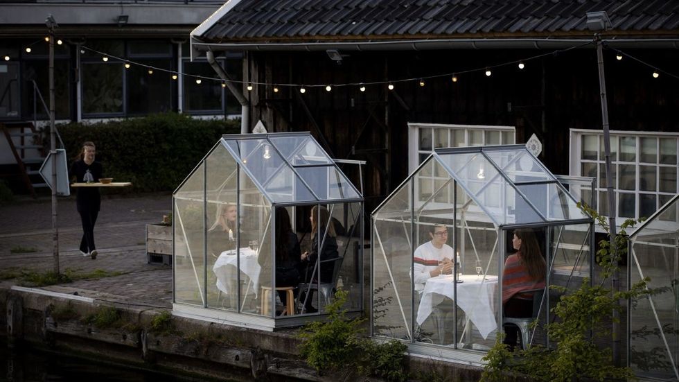 Amsterdam greenhouses social distance
