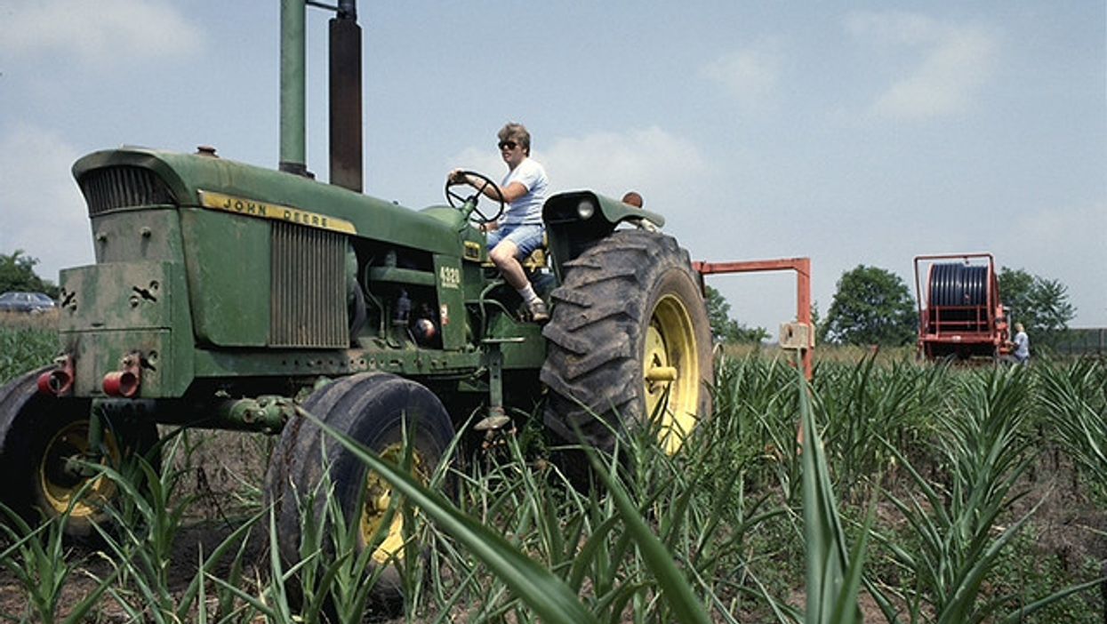 farm, farming
