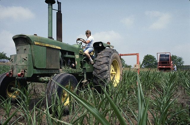 farm, farming