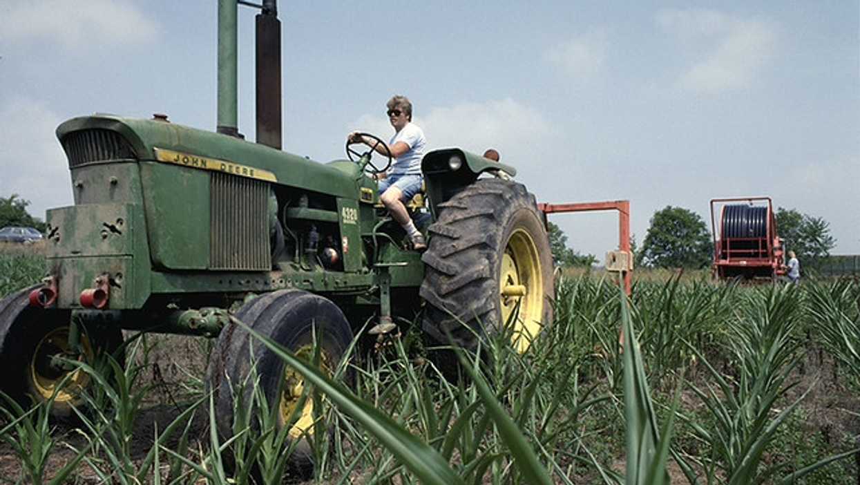 farm, farming