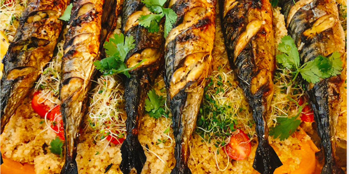 Broiled mackerel with quinoa My Recipe Magic