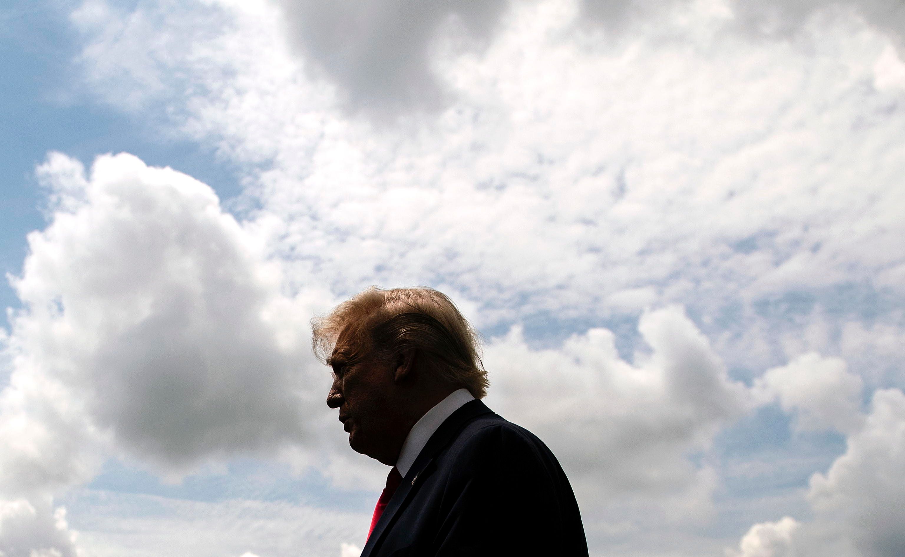 Trump alla fine è un ambientalista