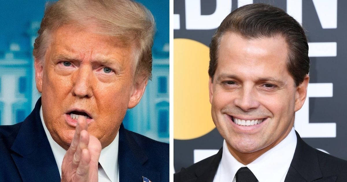 Trump Reignites Feud After Scaramucci's Fox News Warning: VIDEO - Comic ...