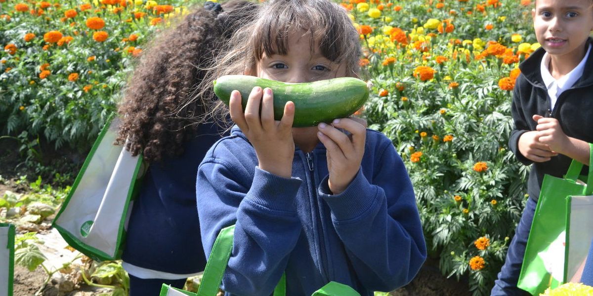 Kids organic vegetables