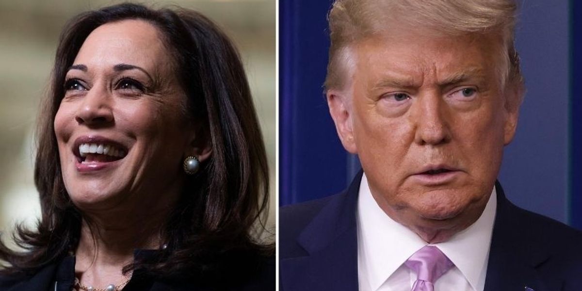 Donald and Ivanka Trump Donated Thousands to Kamala Harris - Second Nexus