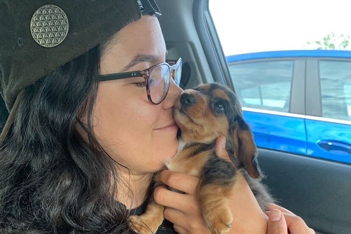 Austin company The Zebra offers stipend for employees to adopt pets