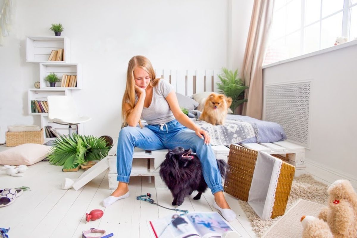 girl in messy room with dogs