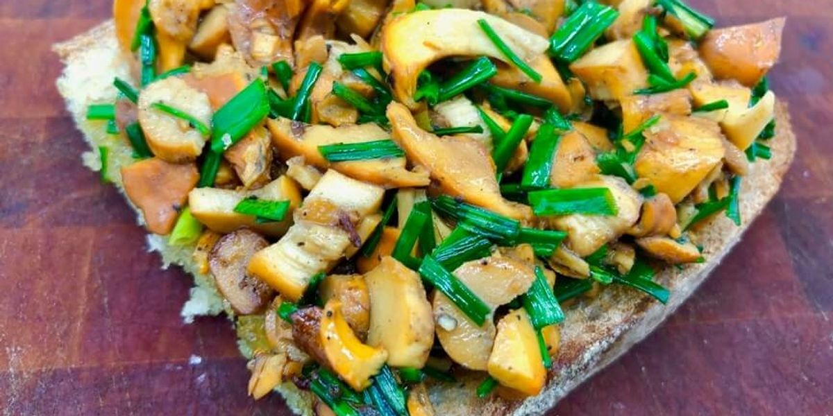 Chanterelles How to Find, Identify, and Cook These Delicious Morsels