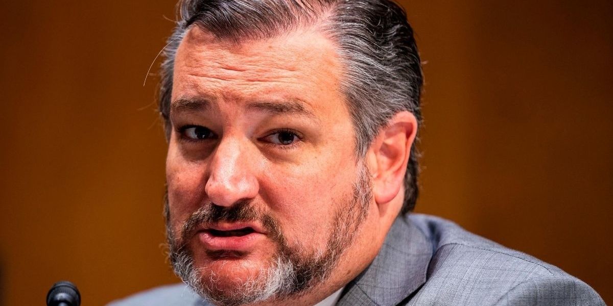 Ted Cruz Warned Fox News What Will Happen If Joe Biden Wins, And People Are So Here For It