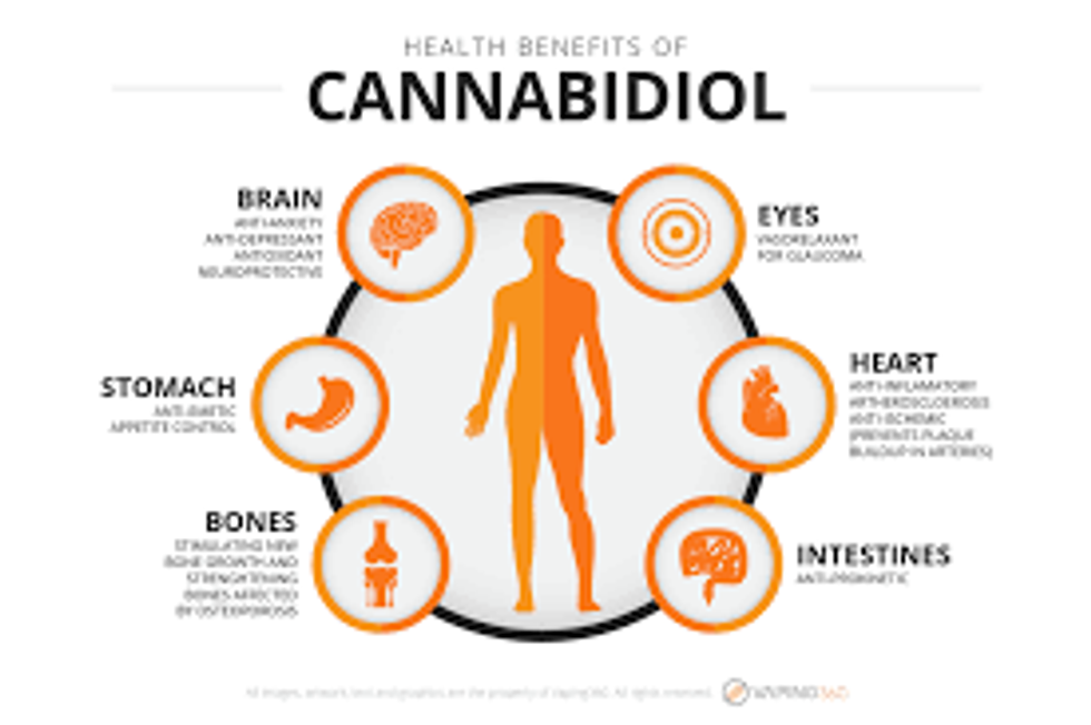 Chart Of CBD Effects On The Human Body