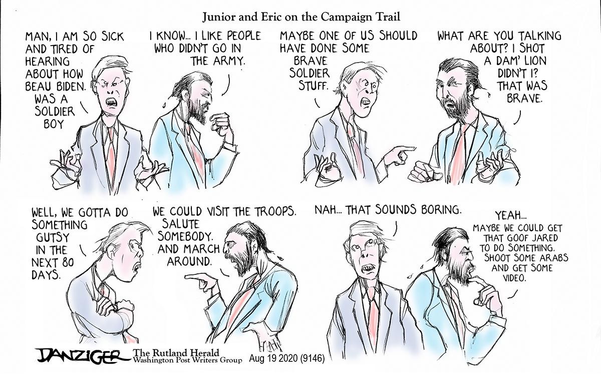 Danziger Draws
