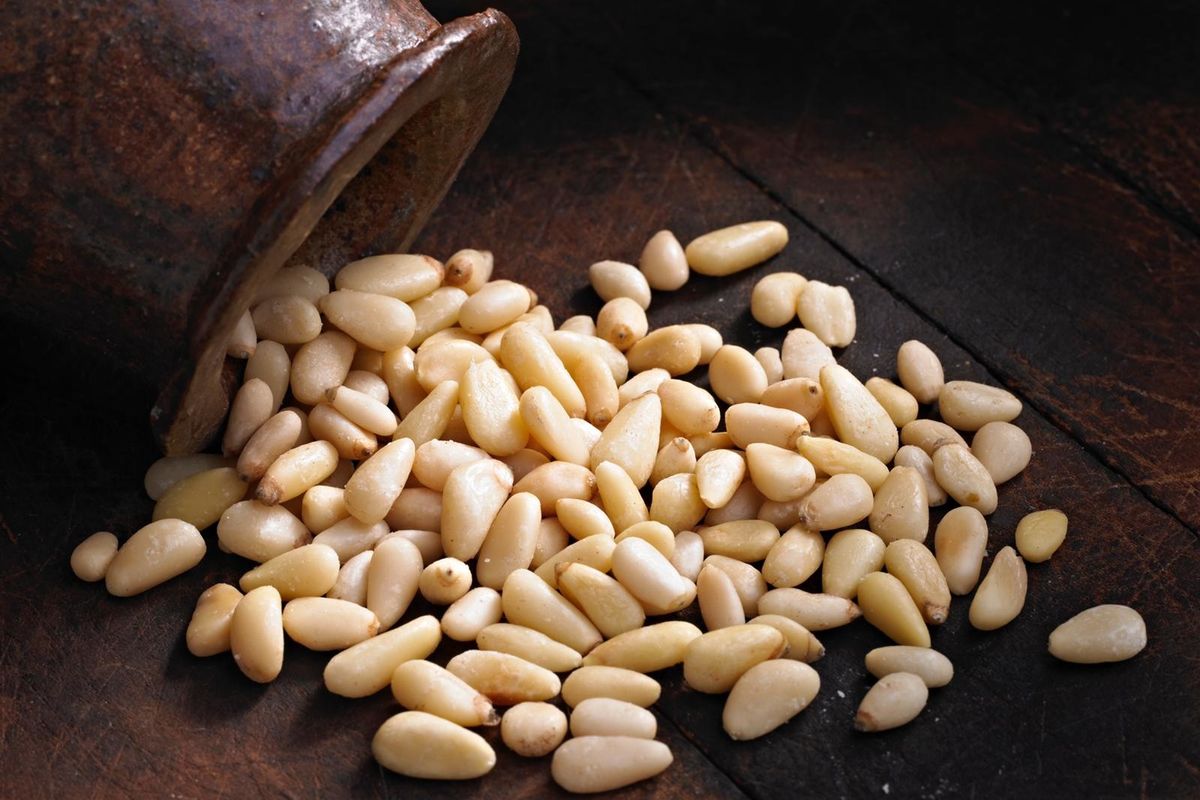 Scorpacciate di pinoli. Ecco perché fanno bene a salute e economia