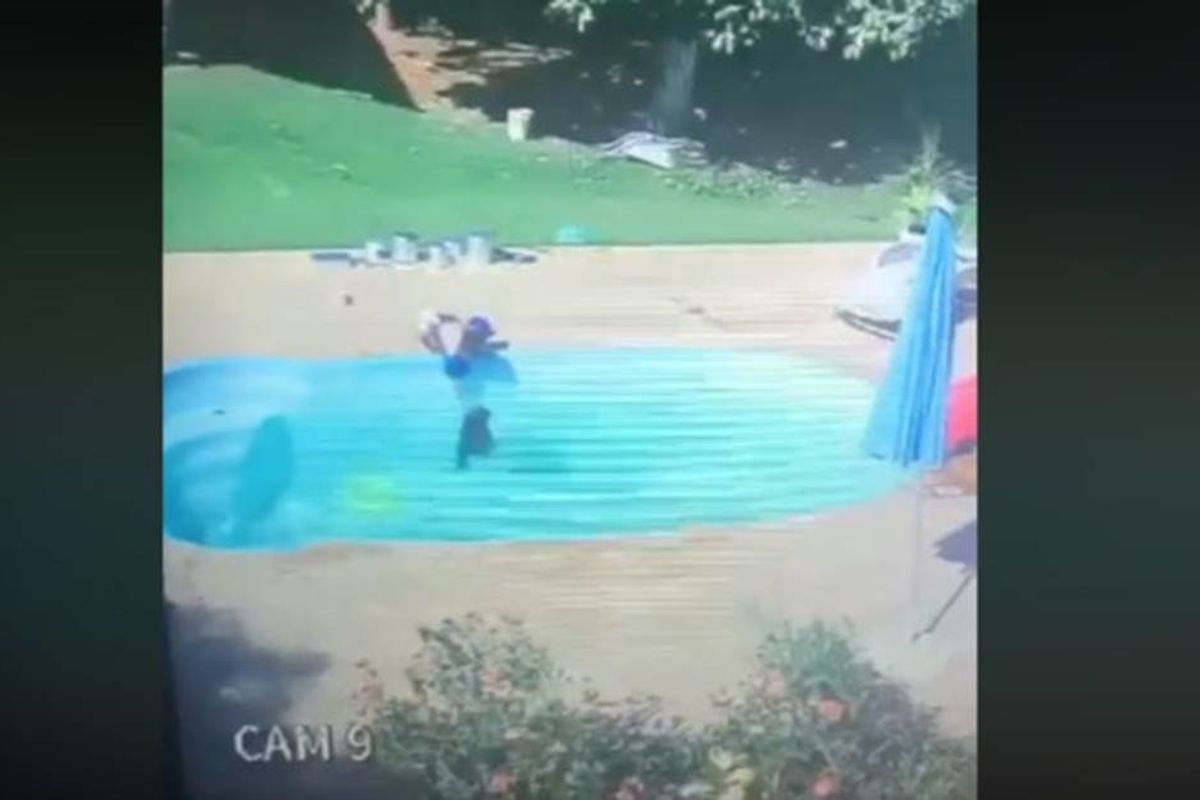 Dramatic security footage shows a three-year-old boy heroically saving his drowning friend