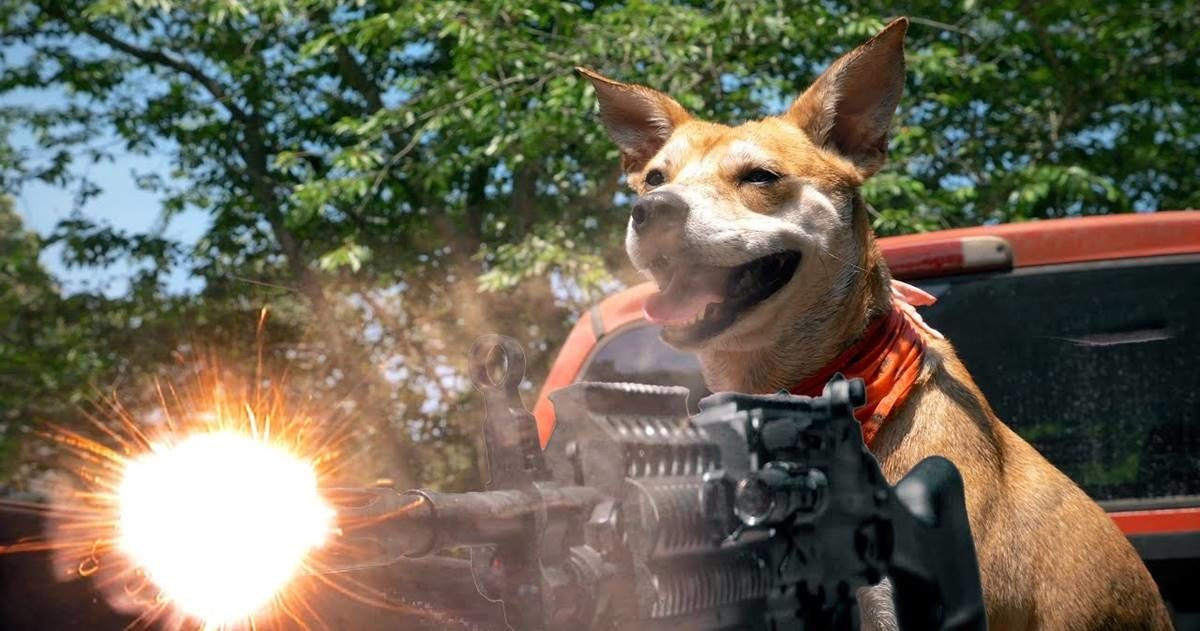 'Bored guy' in quarantine made a 5-minute action movie starring his seemingly innocent dog