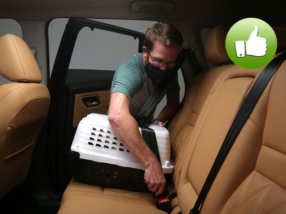 dog car safety nissan