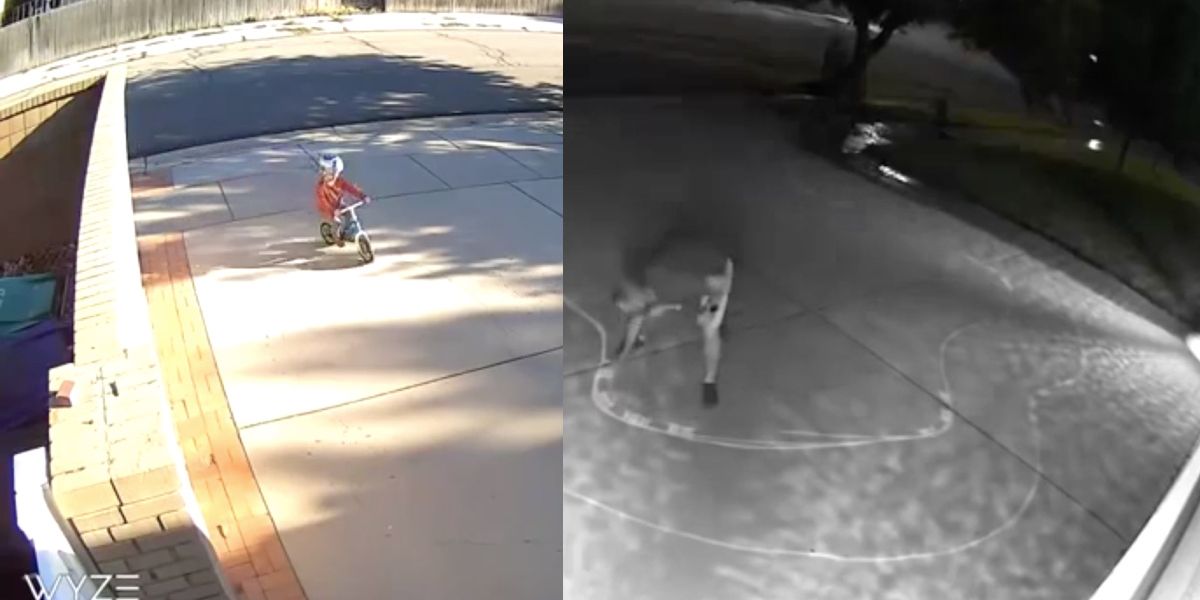 Security cameras showed a kid 'tearing it up' in his driveway each