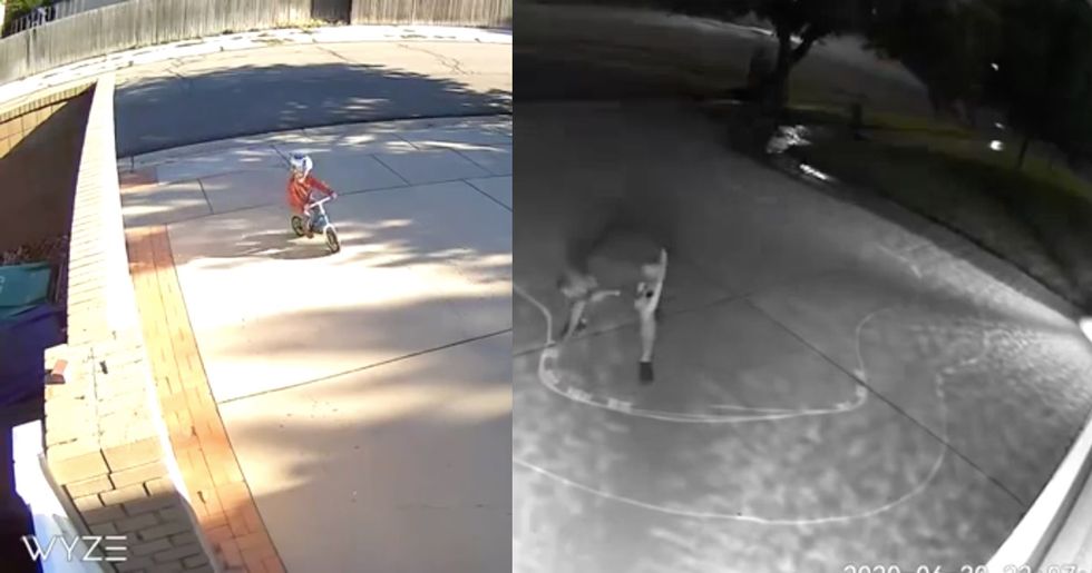 Security cameras showed a kid 'tearing it up' in his driveway each night. So he took adorable action.