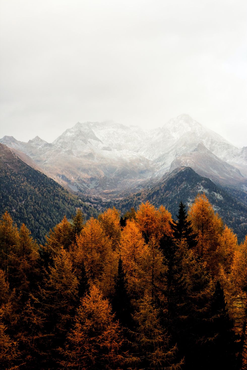 10 Reasons Everyone Is Ready To Fall Into Autumn And Say Goodbye To This Hot Summer Bummer