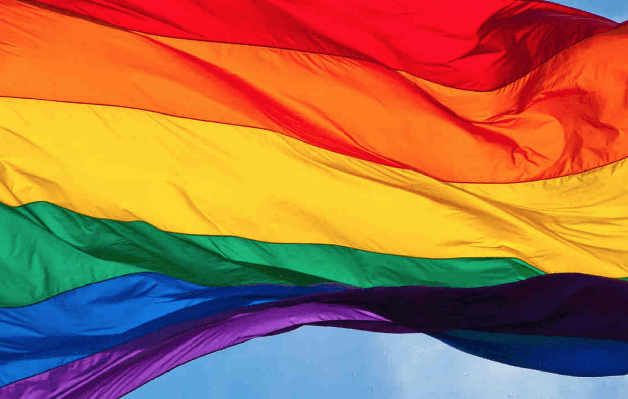 Omofobia, Pro Vita & Famiglia: «La repressione è già cominciata»