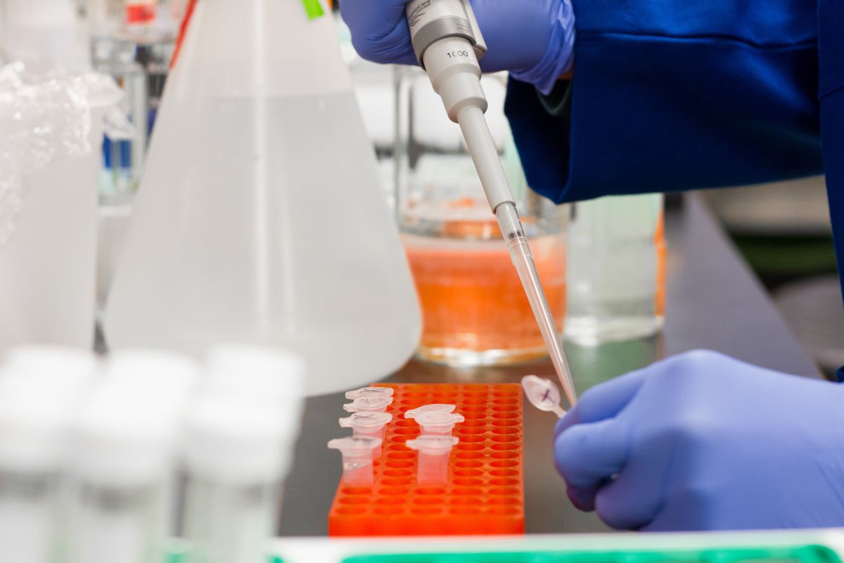 COVID testing remains a challenge even as Austin officials report 'refreshing' trends