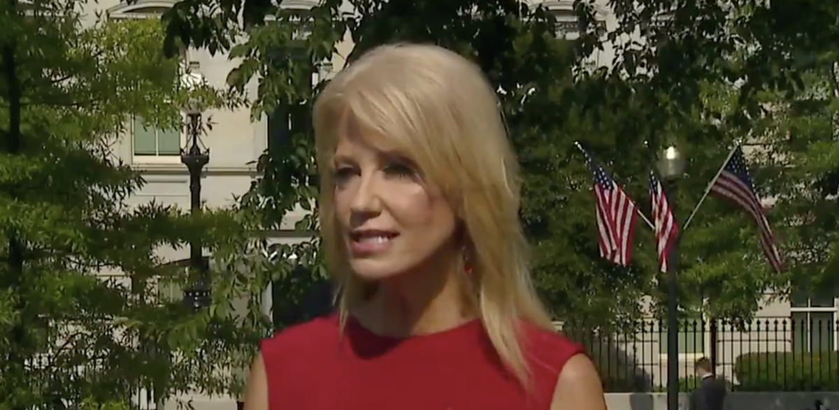 Kellyanne Conway Just Referred to Trump as 'the Healthcare President' and the Mockery Was Swift