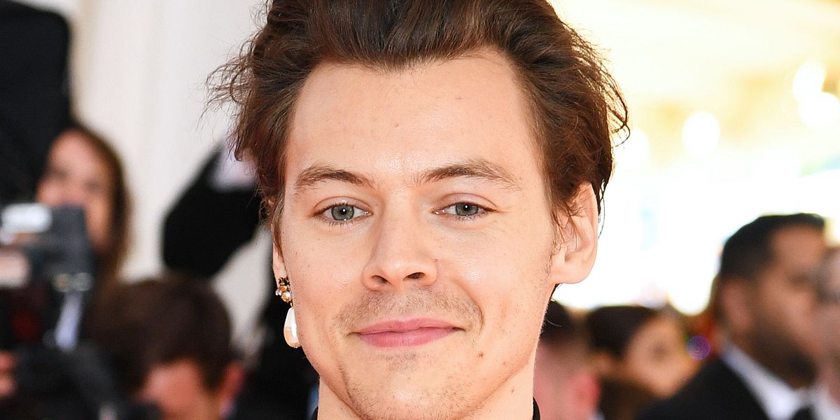 Harry Styles Fans Think He Has a Secret TikTok