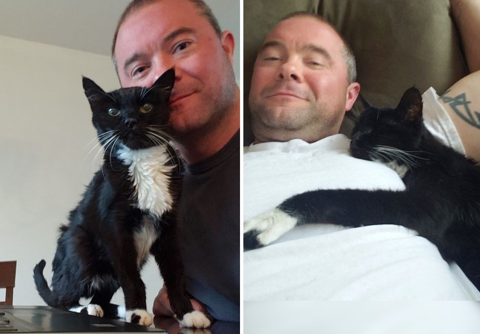 older cat, tuxedo cat, cuddles, real men love cats