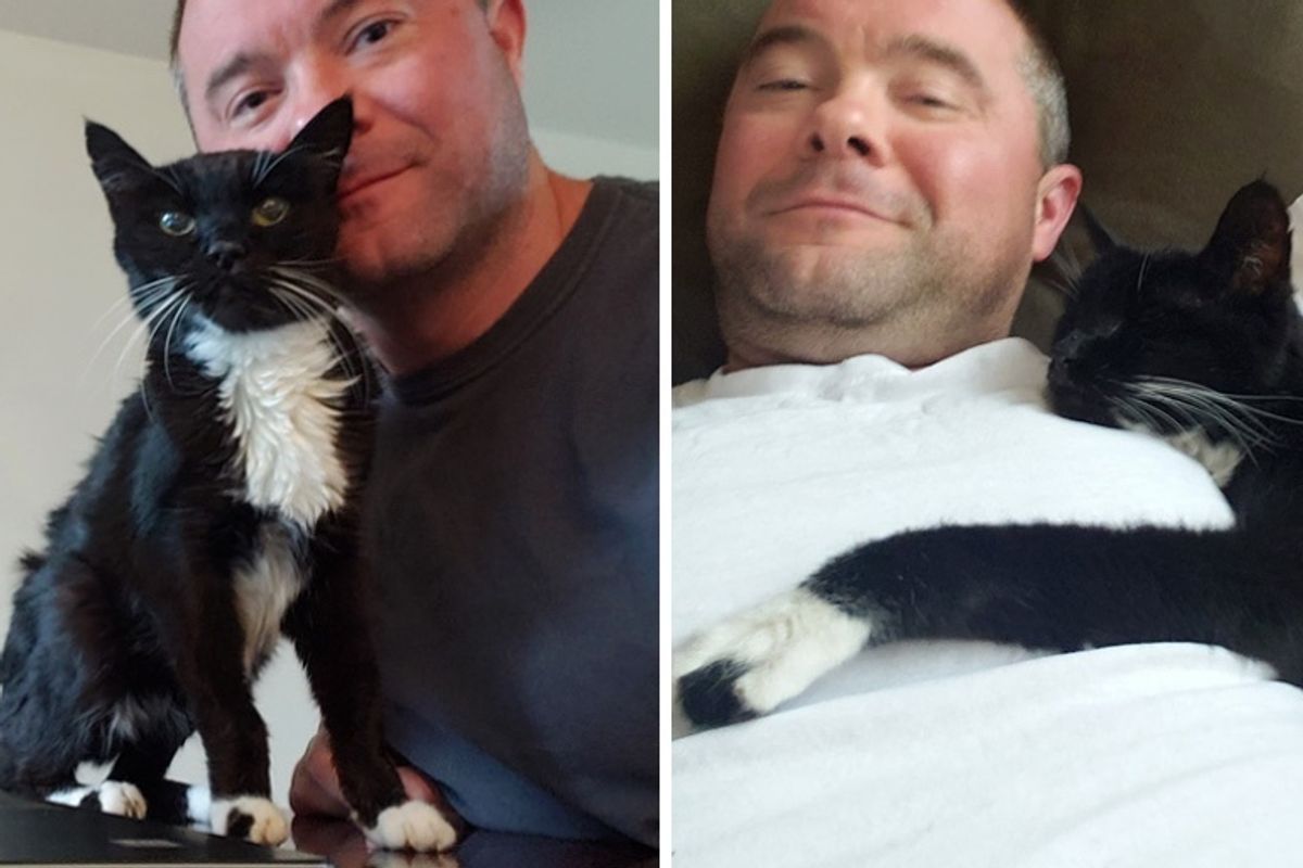 Cat Who Was 18 Years Old When He Asked Man to Take Him Home, Now Turns 20