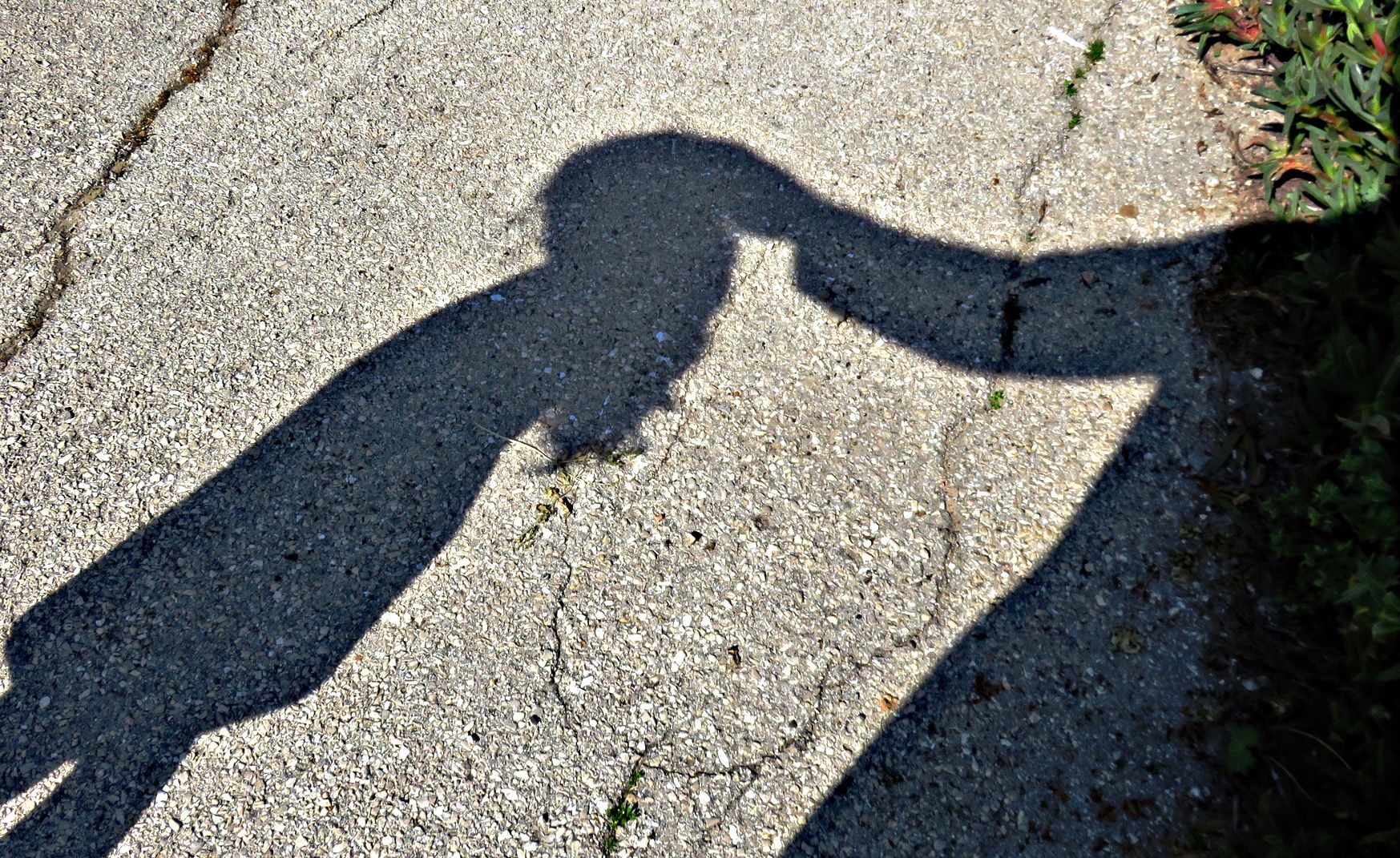 Offre ai turisti sesso con bimbo di 2 anni. Arrestato un nomade