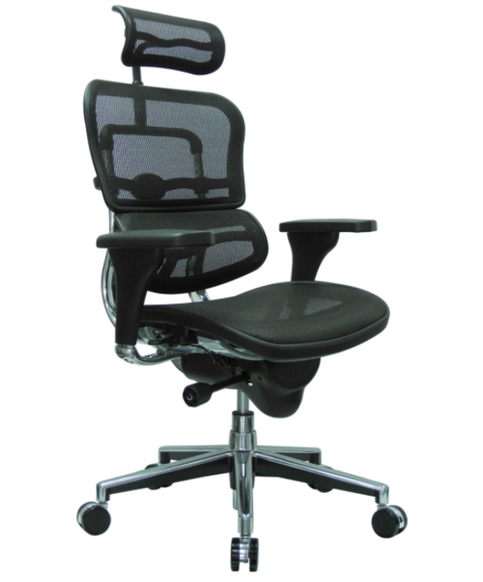Raynor Ergohuman Mesh Office Chair