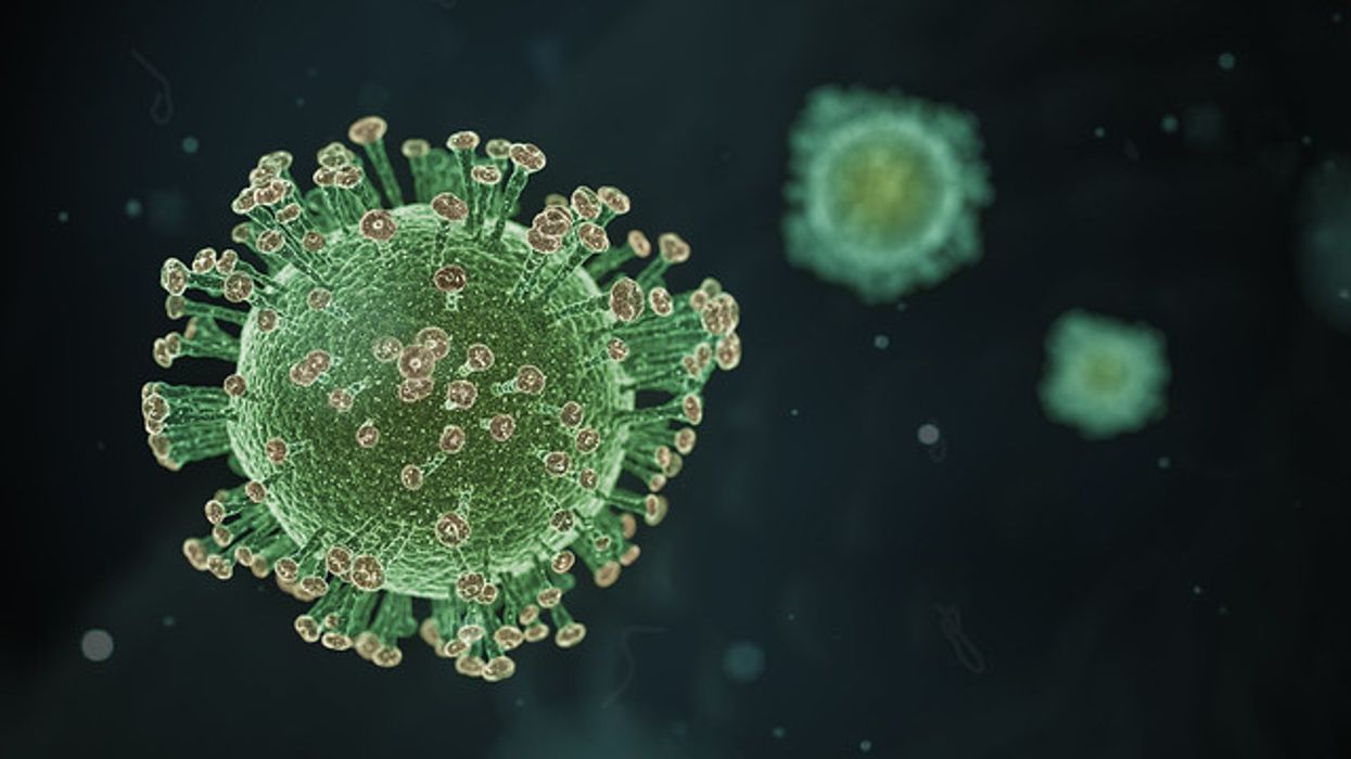 coronavirus