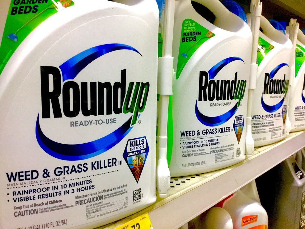 Bayer Monsanto Roundup