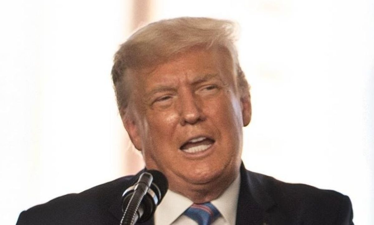 Trump Gets Schooled After He Suggests Delaying the Election in Unhinged Tweet Railing Against Mail-In Voting