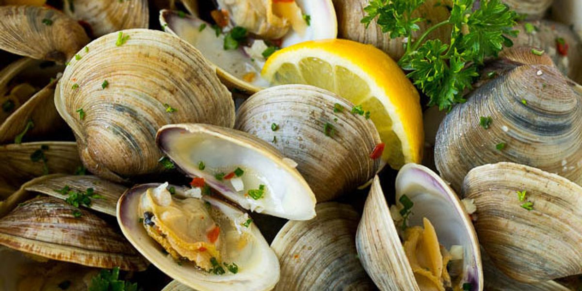 Steamed Clams in Garlic Butter My Recipe Magic