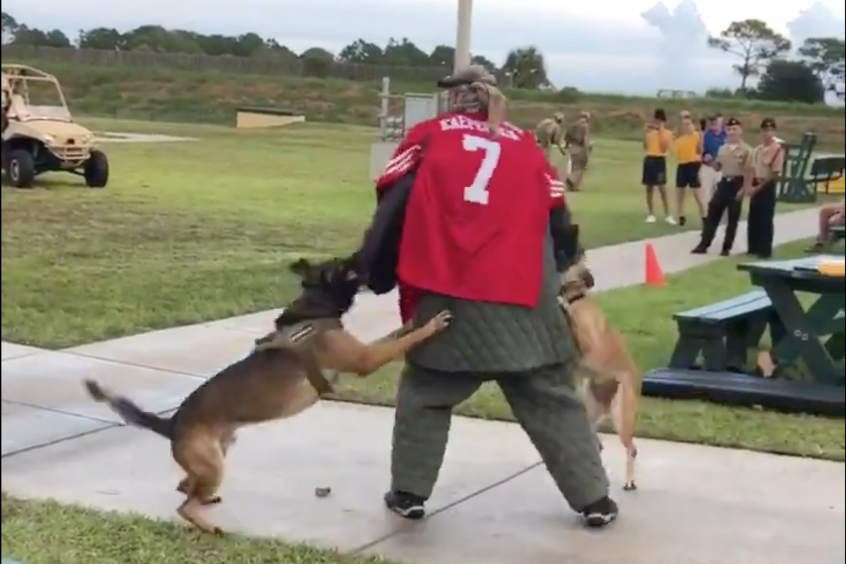 Navy SEALs Sic Dogs On Colin Kaepernick Stand-In, For Racist Giggles!
