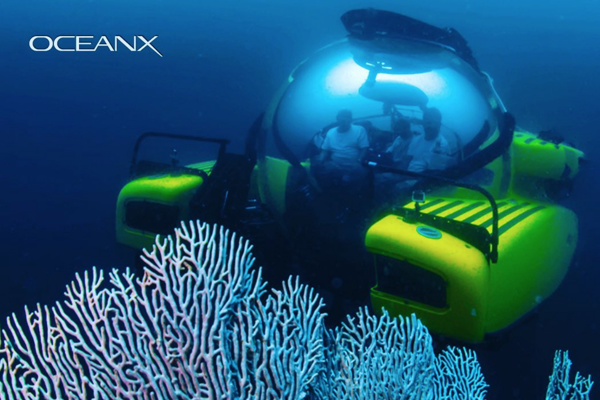 BBC & OceanX