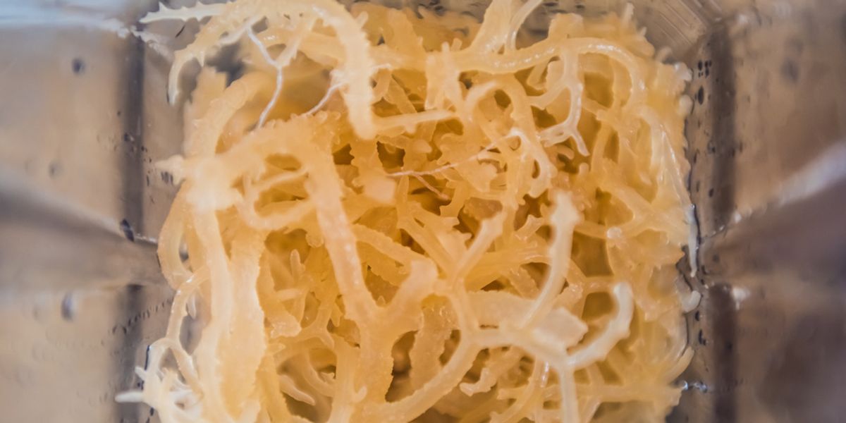 Wellness-Related Problems You Didn't Know Sea Moss Could Help Resolve