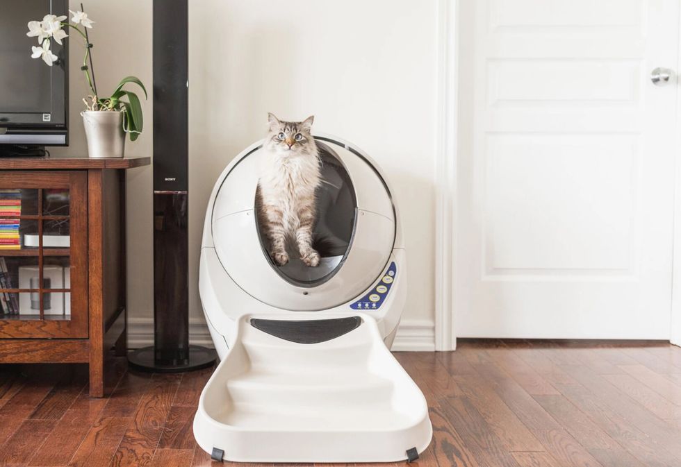 Litter-Robot 3 automated cat litter tray