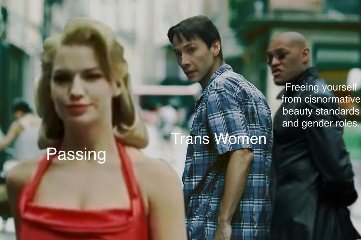 Matrix Trans allegory