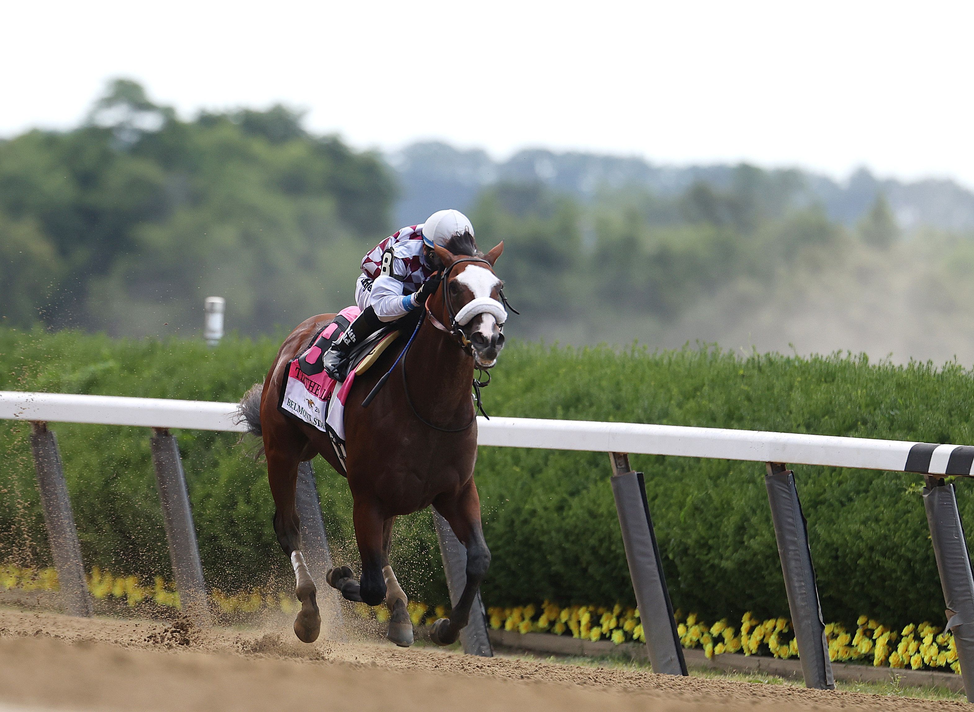 Strangest Kentucky Derby in years will take some creative betting