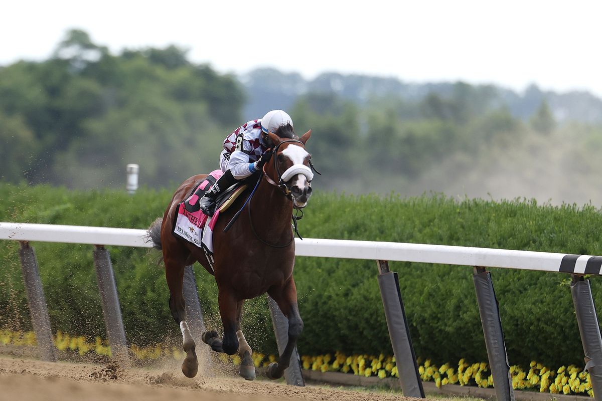 Strangest Kentucky Derby in years will take some creative betting