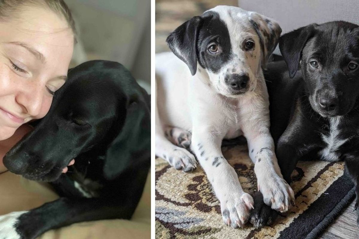 Sisters thought they were rescuing an injured dog, but ended up with 10 lovely pups instead