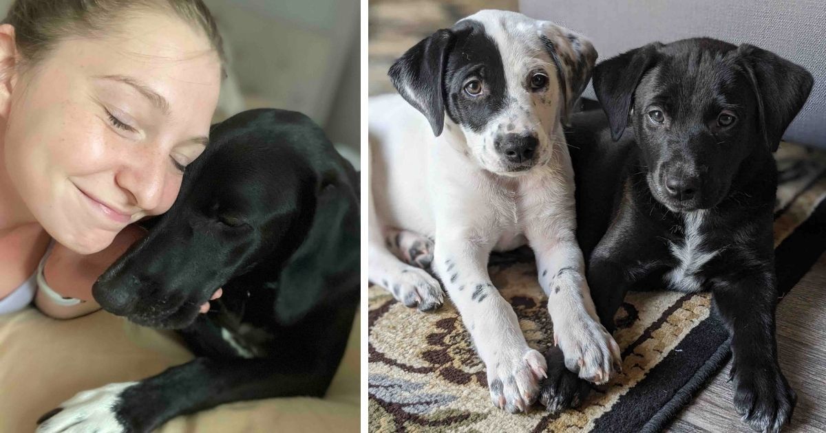 Sisters thought they were rescuing an injured dog, but ended up with 10 lovely pups instead